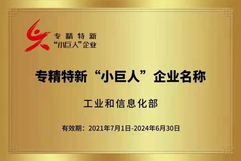 专精特新“小巨人”企业 